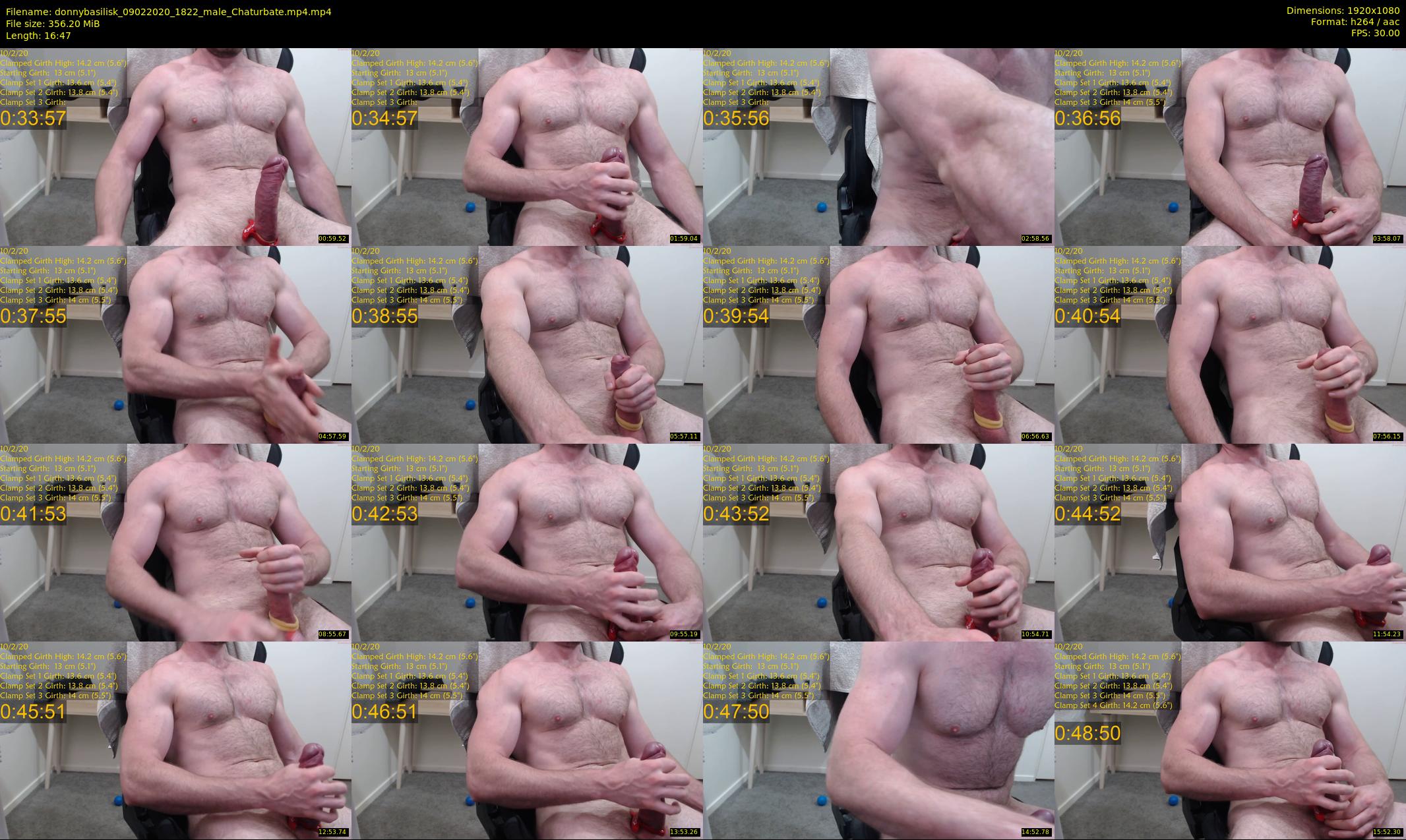 donnybasilisk — 17 minute Chaturbate male cam show recording, 1080p, Feb 9, 2020
