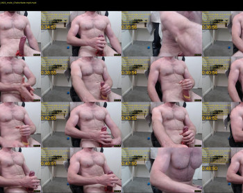 donnybasilisk — 17 minute Chaturbate male cam show recording, 1080p, Feb 9, 2020