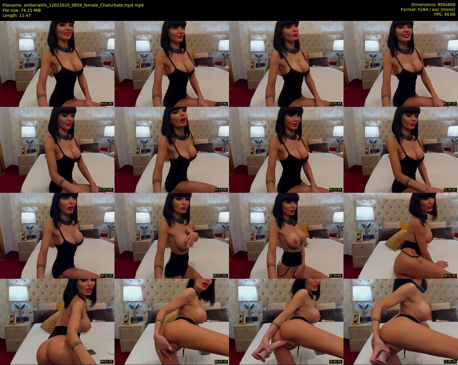 amberwillis — 12 minute Chaturbate female cam show recording, 480p, Feb 12, 2020