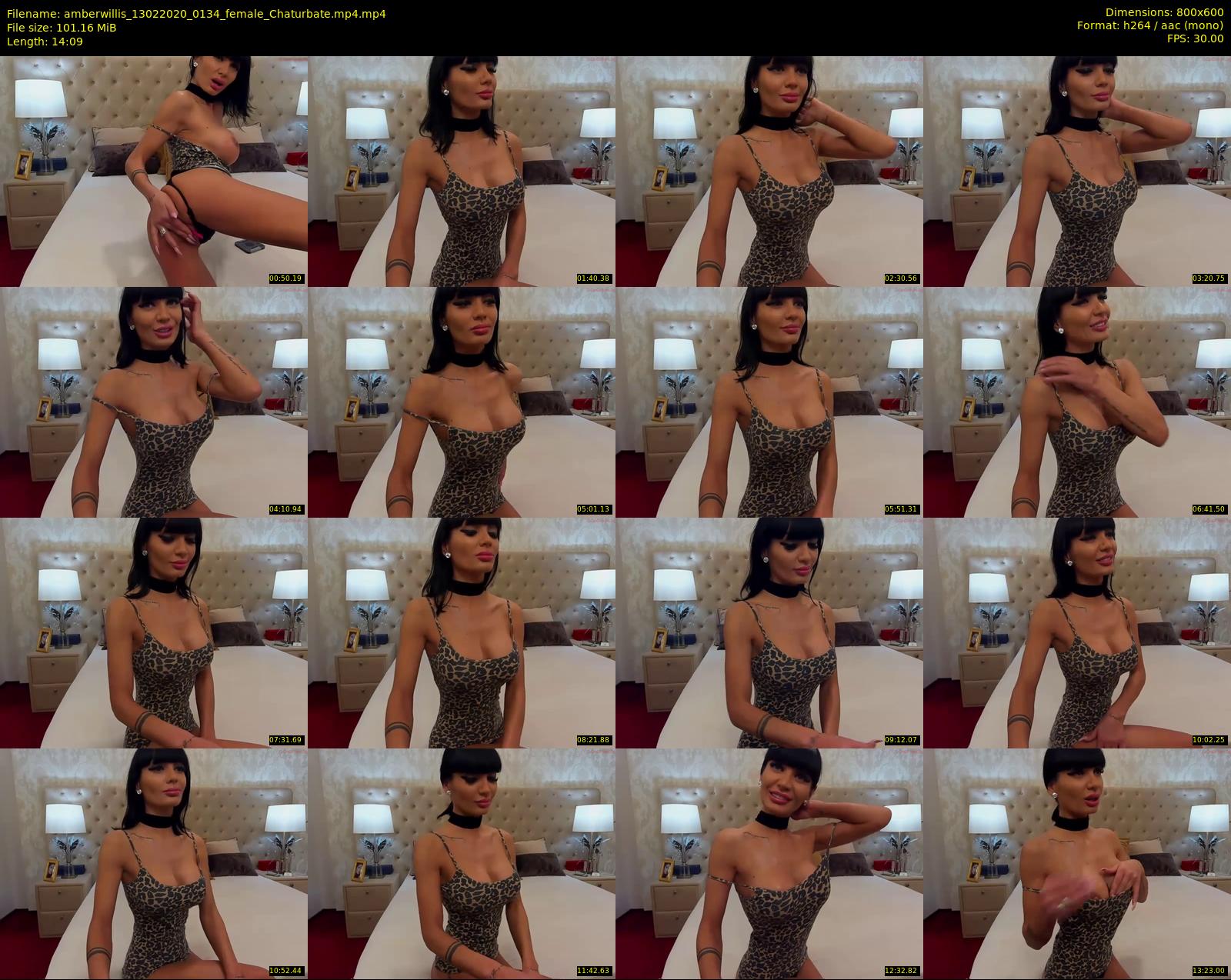 amberwillis — 15 minute Chaturbate female cam show recording, 480p, Feb 13, 2020