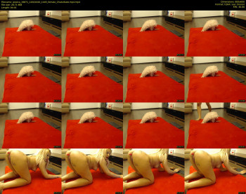 jessica_19871 — 5 minute Chaturbate female cam show recording, 480p, Feb 12, 2020