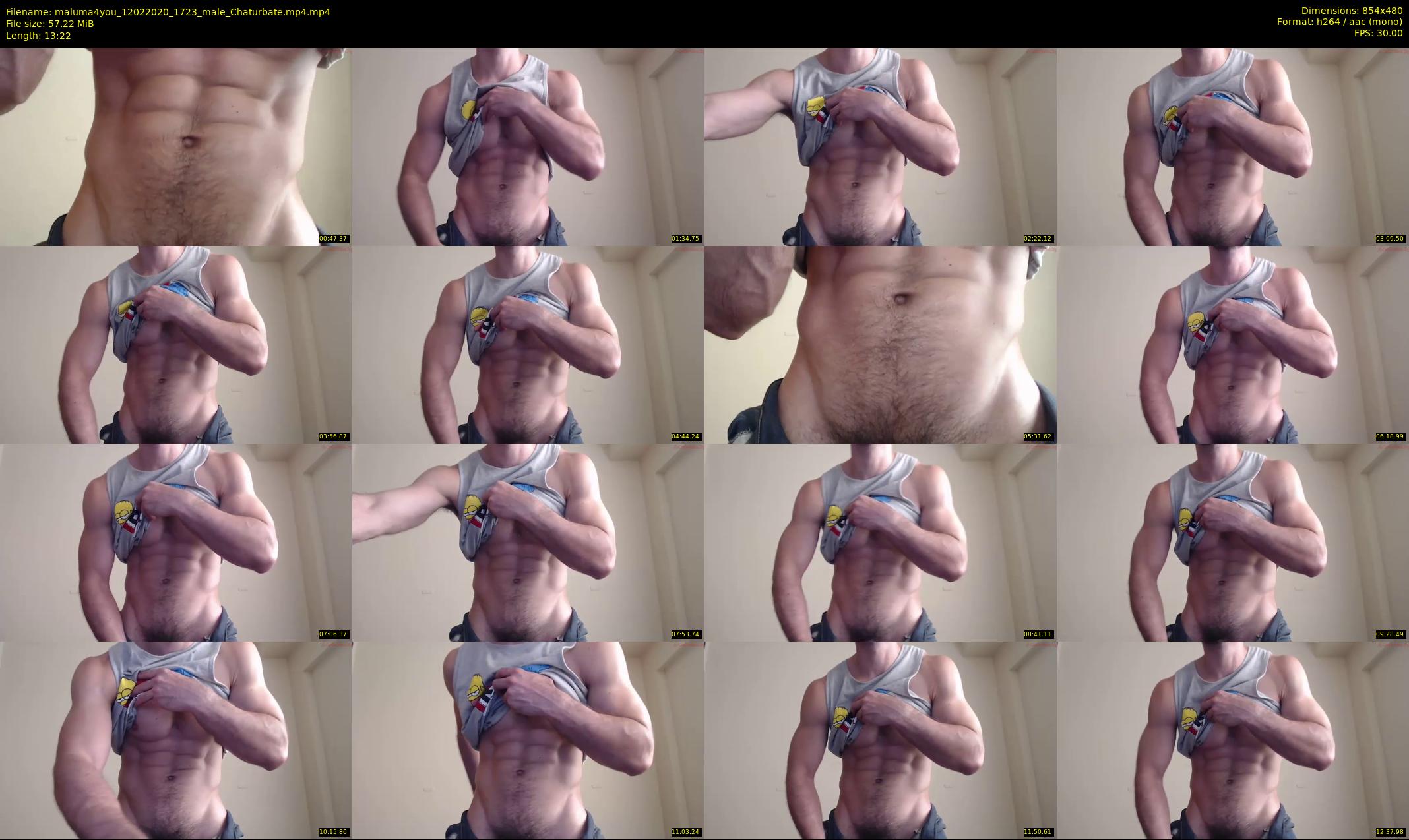 maluma4you — 14 minute Chaturbate male cam show recording, 480p, Feb 12, 2020