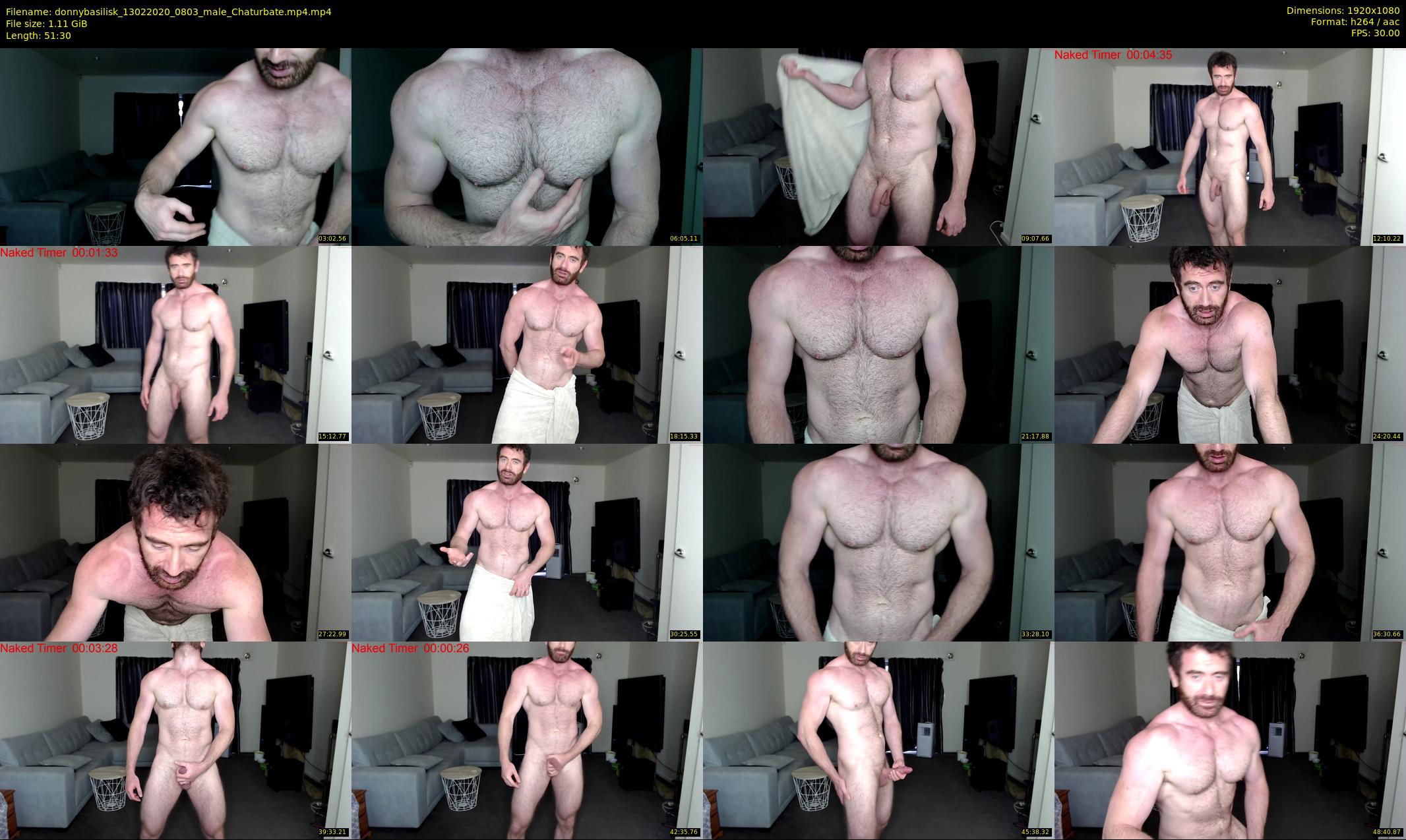 donnybasilisk — 52 minute Chaturbate male cam show recording, 1080p, Feb 13, 2020