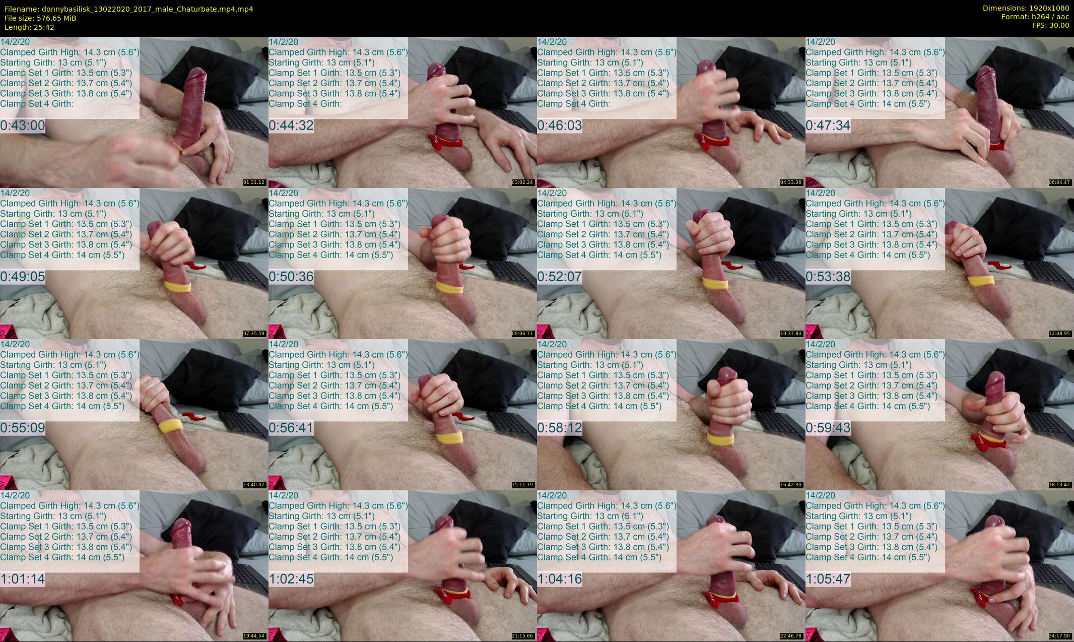 donnybasilisk — 26 minute Chaturbate male cam show recording, 1080p, Feb 13, 2020