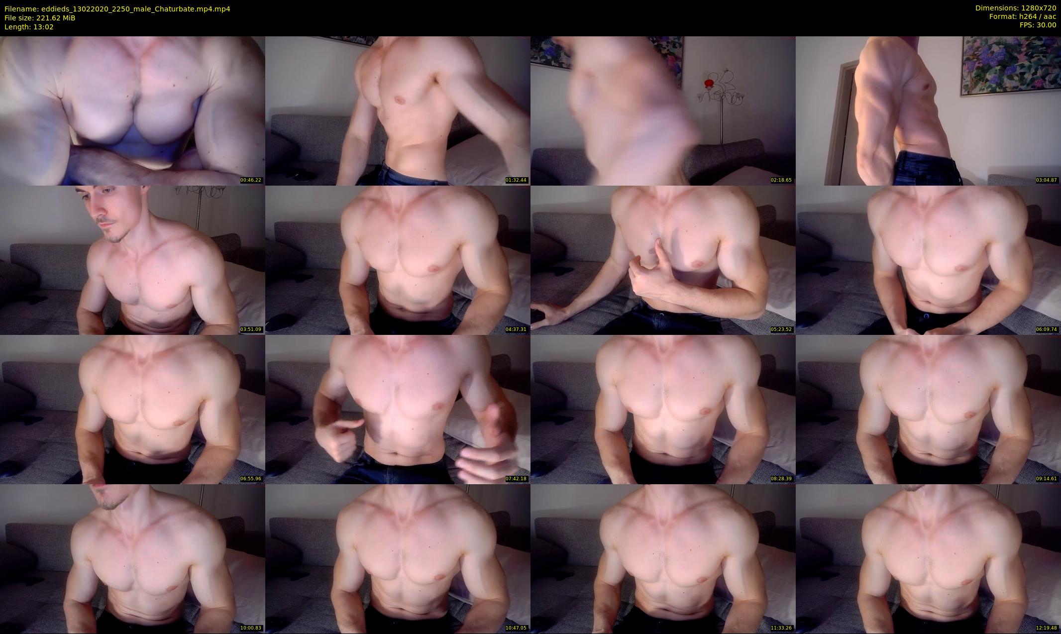 eddieds — 14 minute Chaturbate male cam show recording, 720p, Feb 13, 2020
