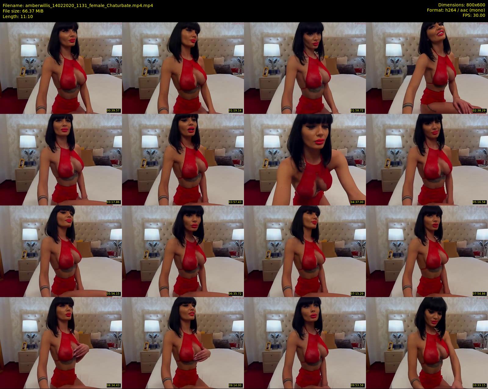 amberwillis — 12 minute Chaturbate female cam show recording, 480p, Feb 14, 2020