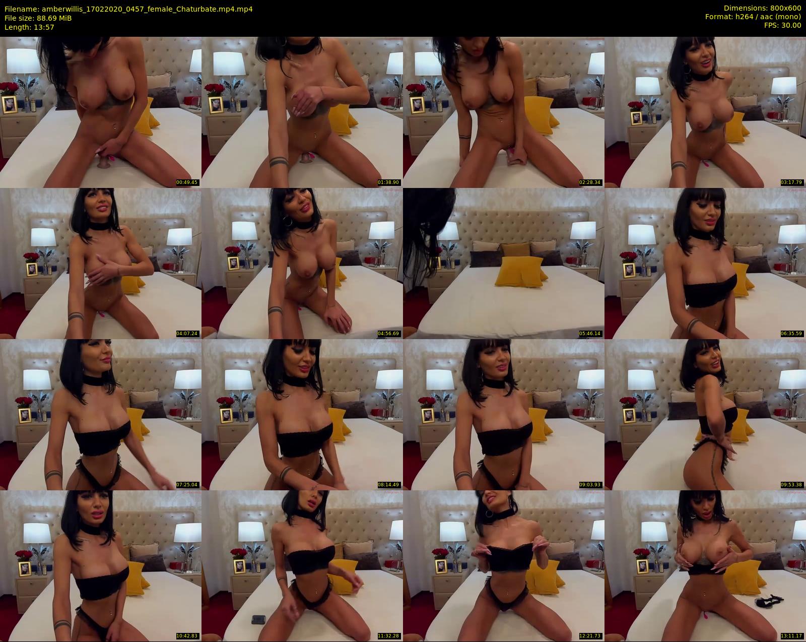 amberwillis — 14 minute Chaturbate female cam show recording, 480p, Feb 17, 2020