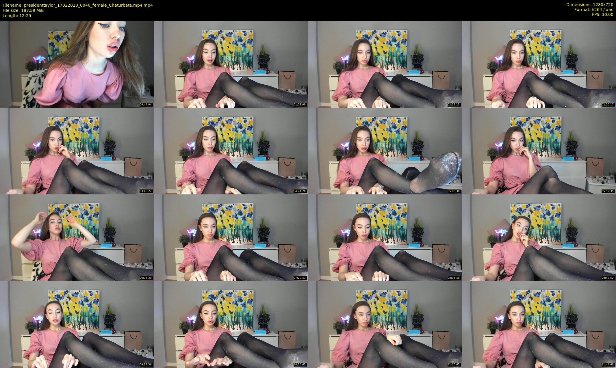 presidenttaylor — 13 minute Chaturbate female cam show recording, 720p, Feb 17, 2020