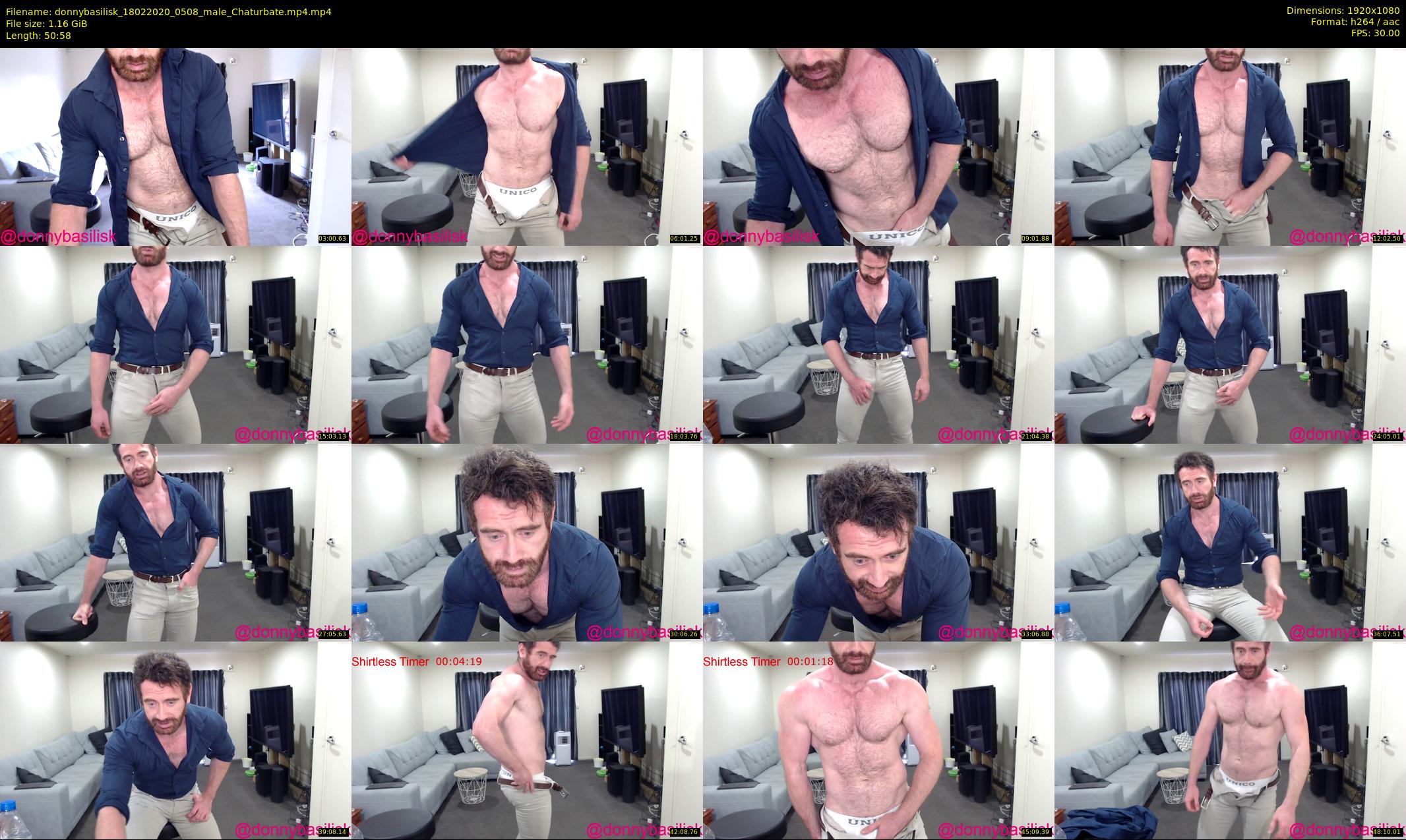 donnybasilisk — 51 minute Chaturbate male cam show recording, 1080p, Feb 18, 2020