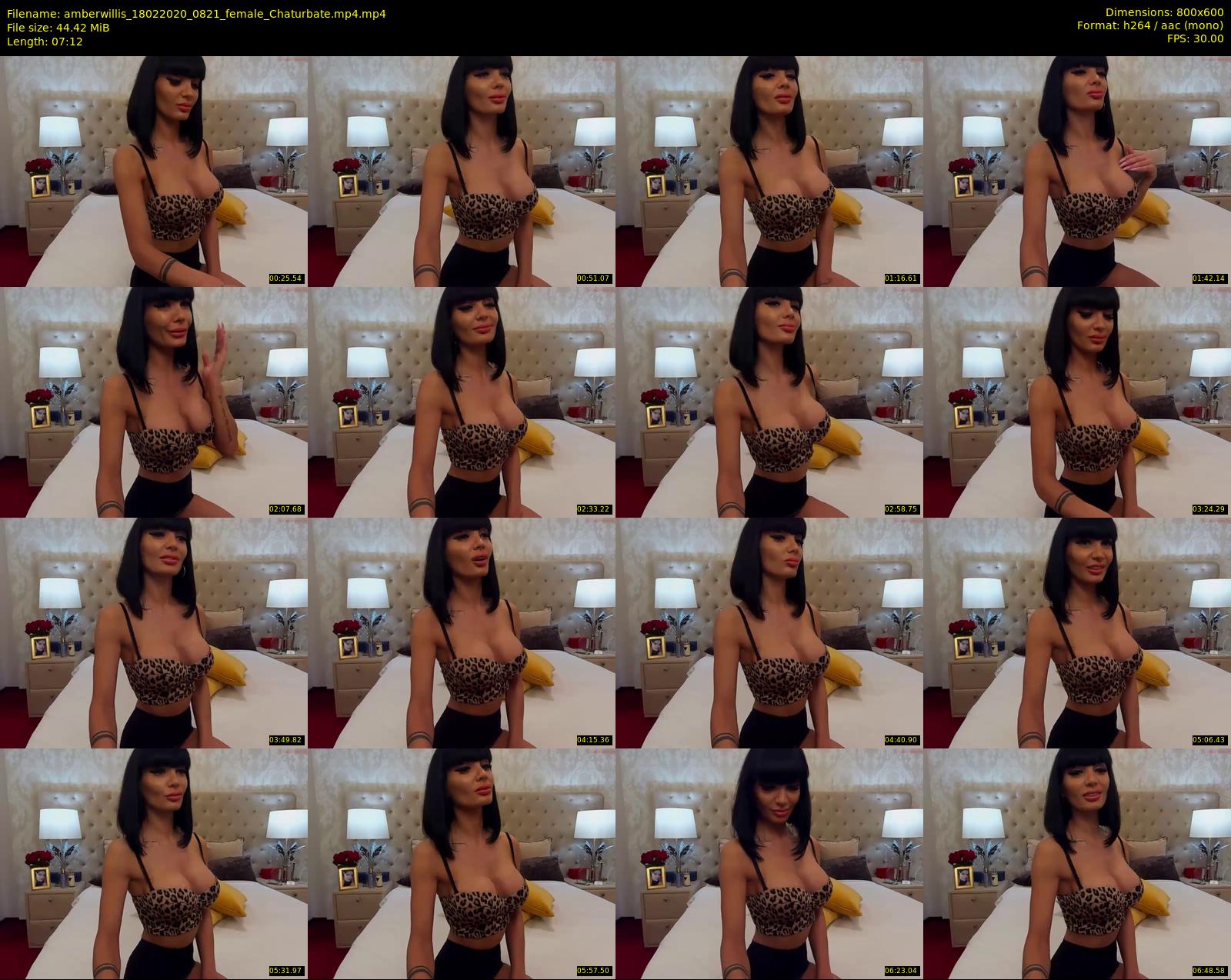 amberwillis — 8 minute Chaturbate female cam show recording, 480p, Feb 18, 2020