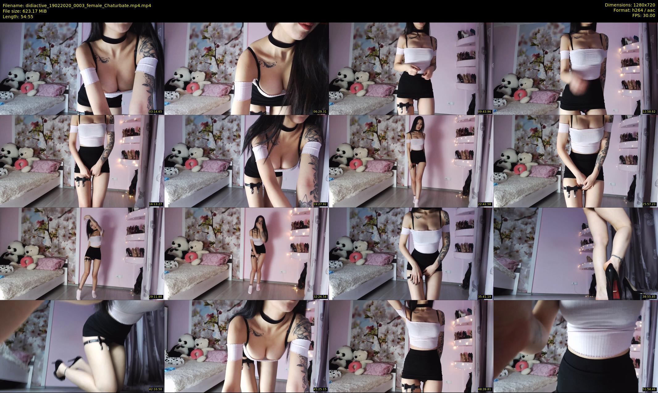 didiactive — 55 minute Chaturbate female cam show recording, 720p, Feb 19, 2020