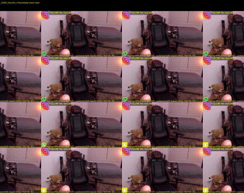 yssadiamonds — 21 minute Chaturbate female cam show recording, 1080p, Feb 19, 2020