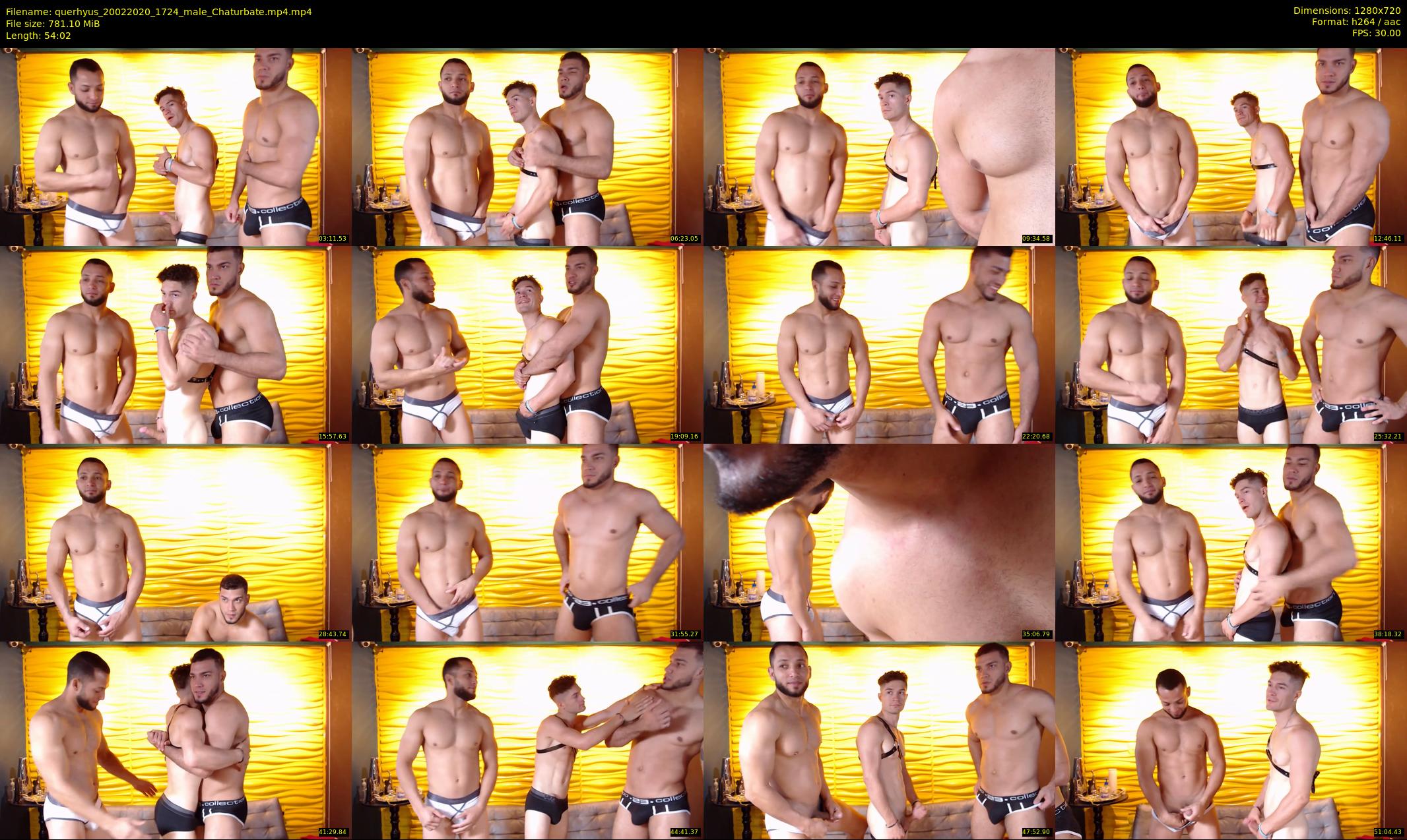 querhyus — 55 minute Chaturbate male cam show recording, 720p, Feb 20, 2020