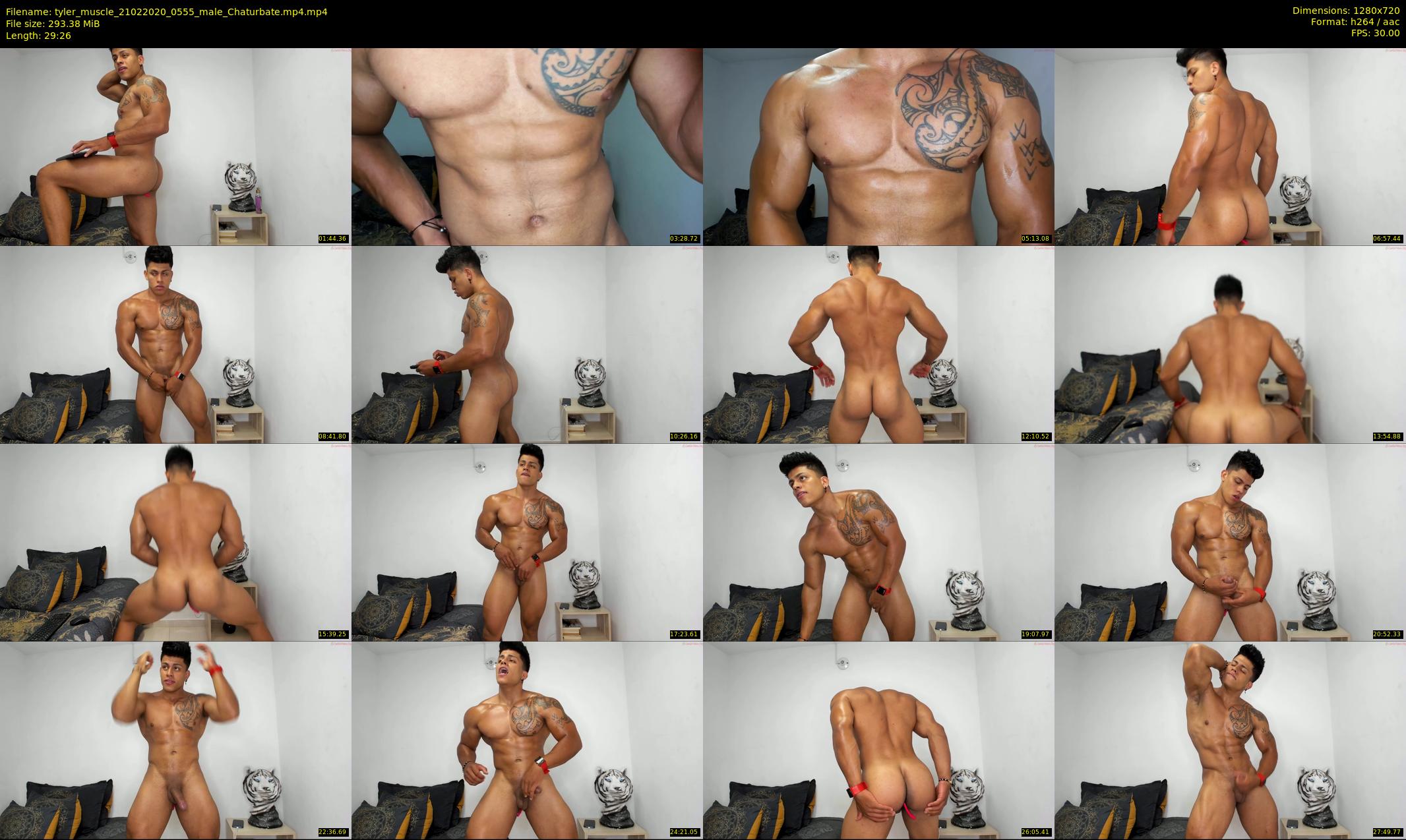 tyler_muscle — 30 minute Chaturbate male cam show recording, 720p, Feb 21, 2020