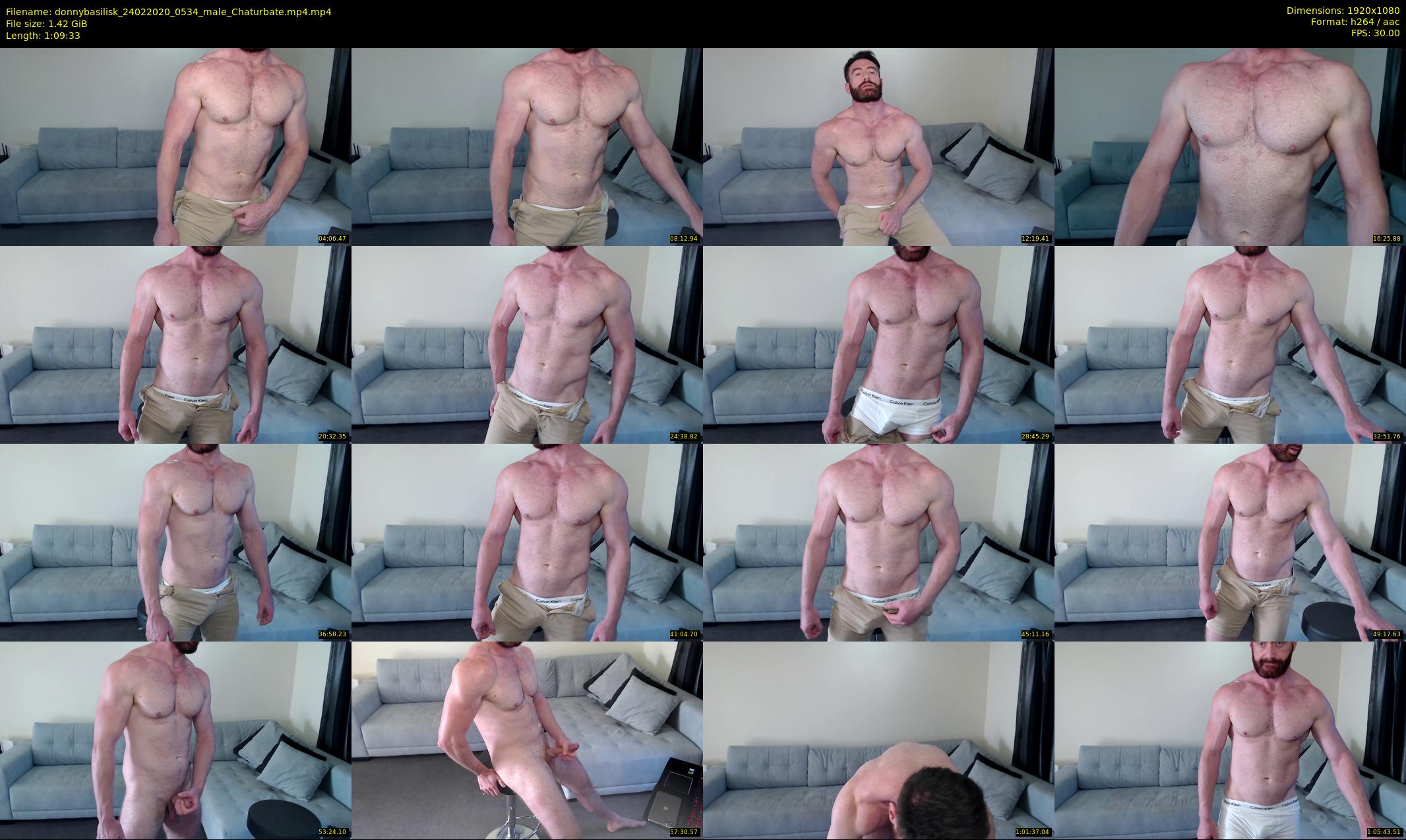 donnybasilisk — 70 minute Chaturbate male cam show recording, 1080p, Feb 24, 2020