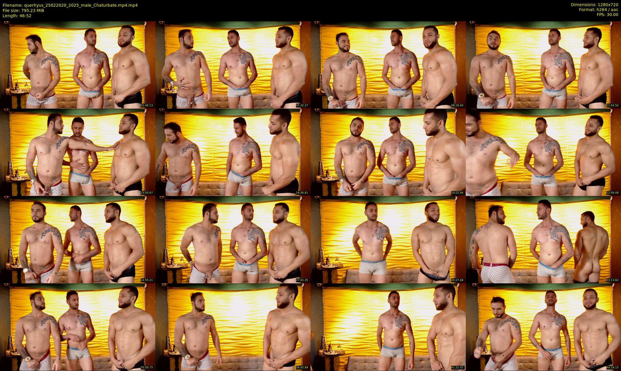 querhyus — 47 minute Chaturbate male cam show recording, 720p, Feb 25, 2020