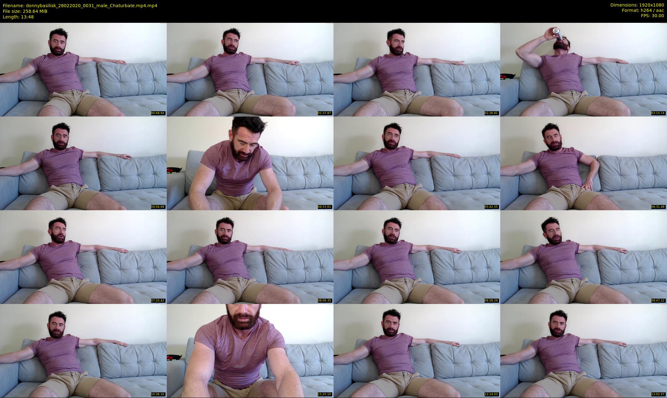 donnybasilisk — 14 minute Chaturbate male cam show recording, 1080p, Feb 28, 2020