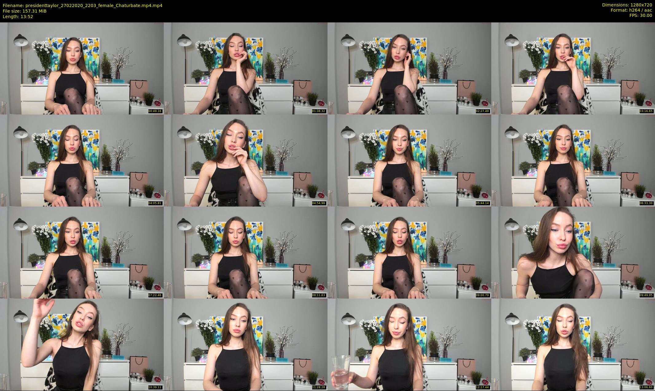 presidenttaylor — 14 minute Chaturbate female cam show recording, 720p, Feb 27, 2020