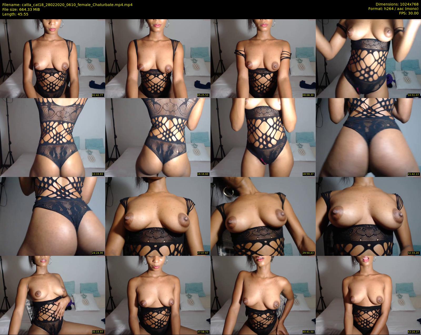 catta_cat18 — 46 minute Chaturbate female cam show recording, 720p, Feb 28, 2020