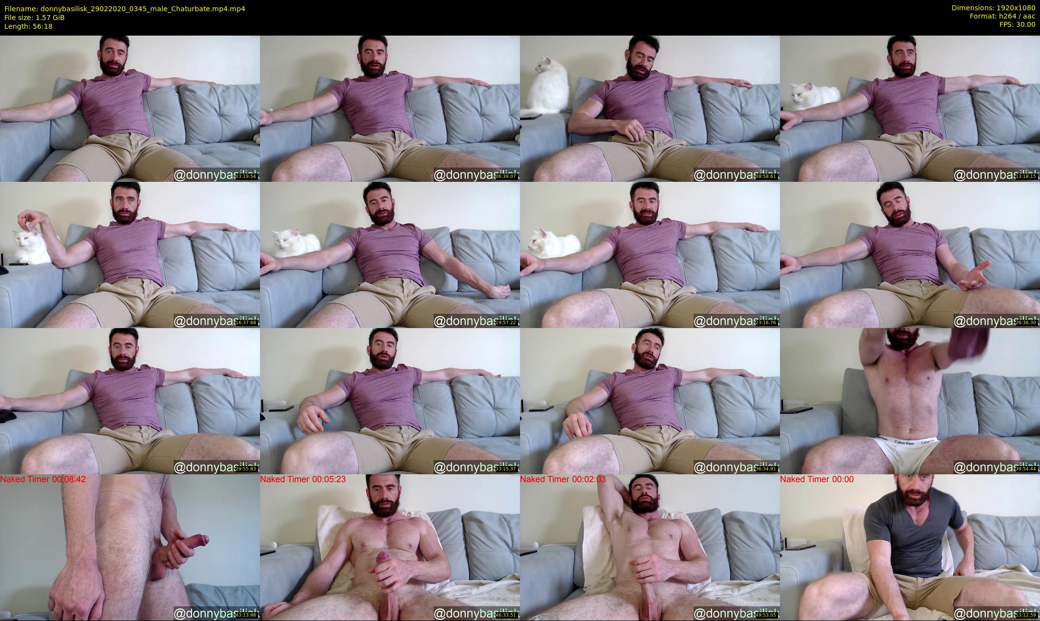 donnybasilisk — 57 minute Chaturbate male cam show recording, 1080p, Feb 29, 2020