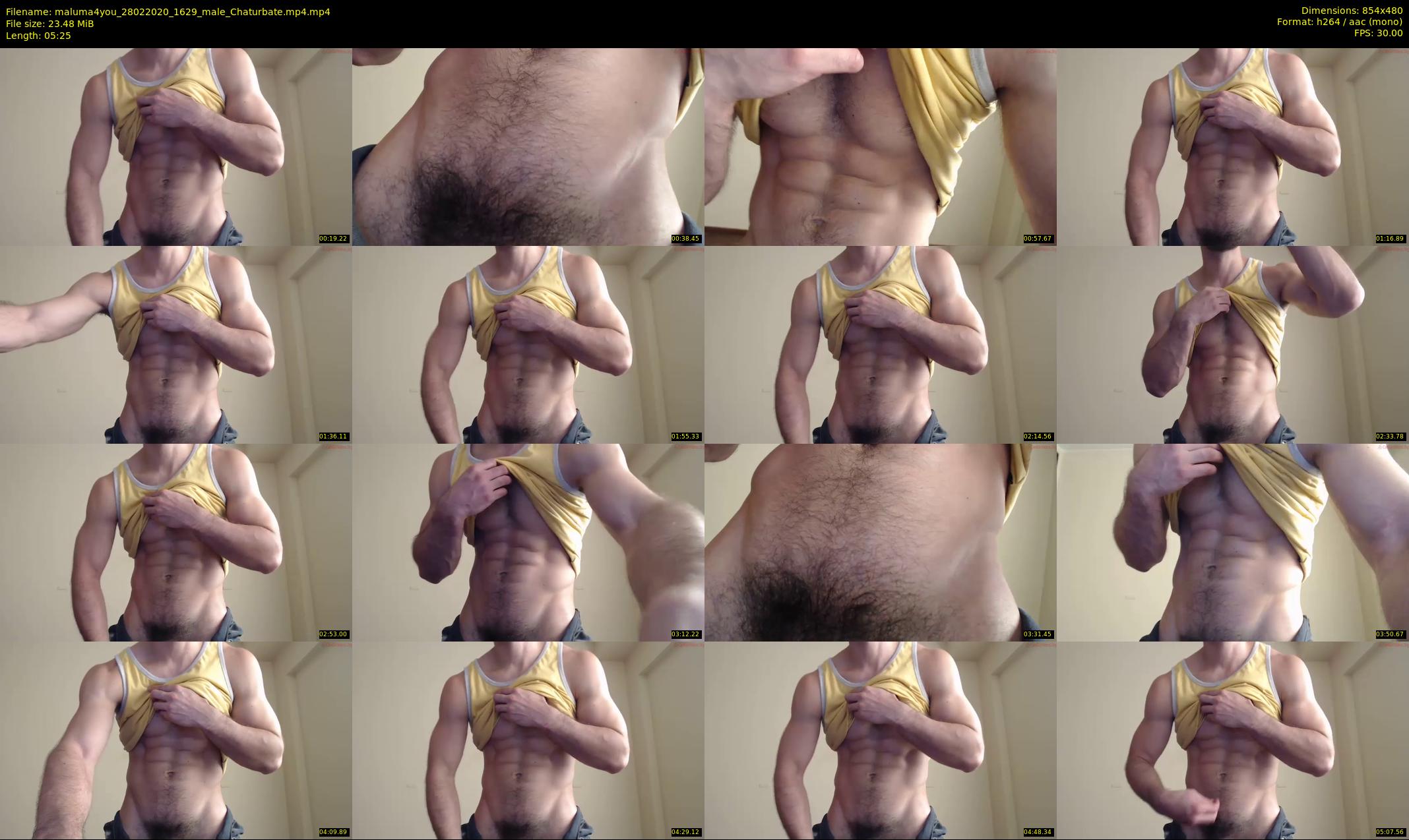 maluma4you — 6 minute Chaturbate male cam show recording, 480p, Feb 28, 2020