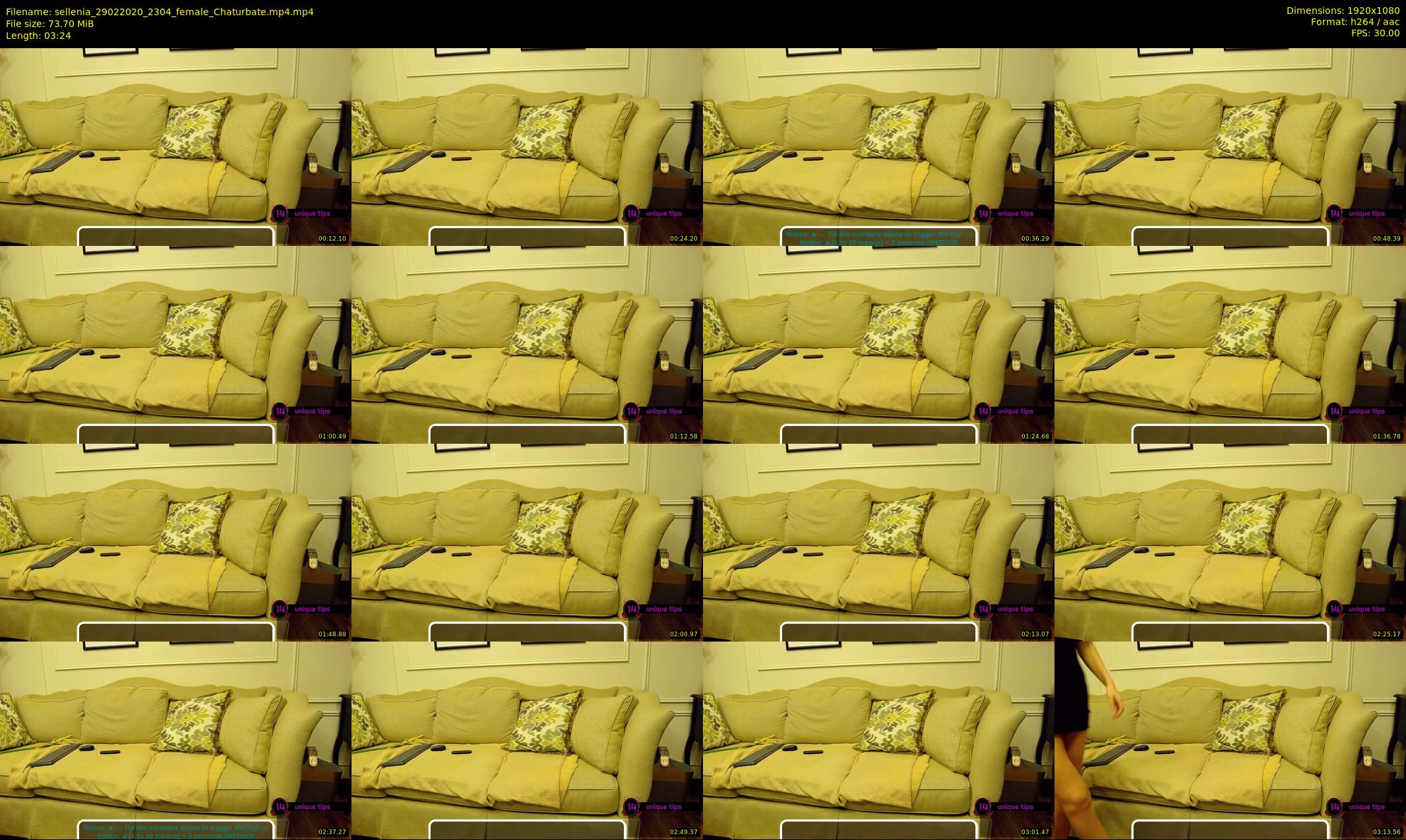 sellenia — 4 minute Chaturbate female cam show recording, 1080p, Feb 29, 2020