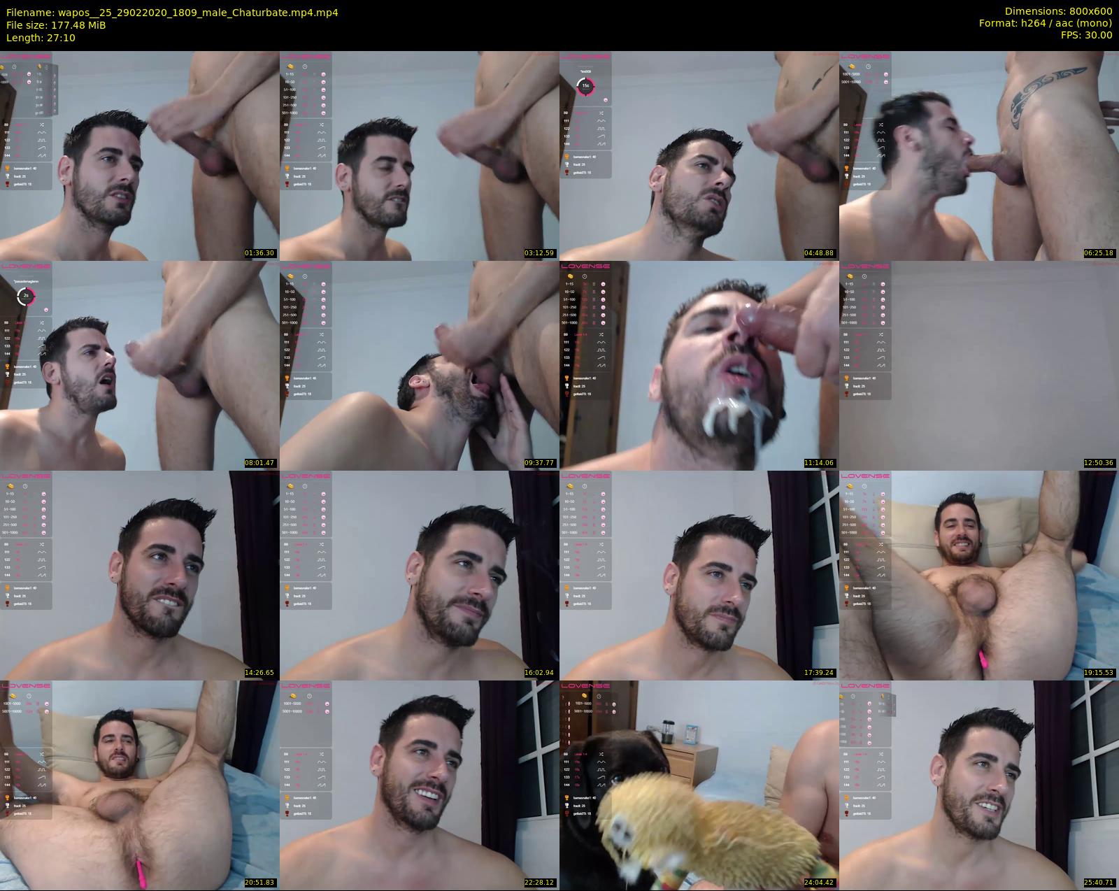 wapos__25 — 28 minute Chaturbate male cam show recording, 480p, Feb 29, 2020