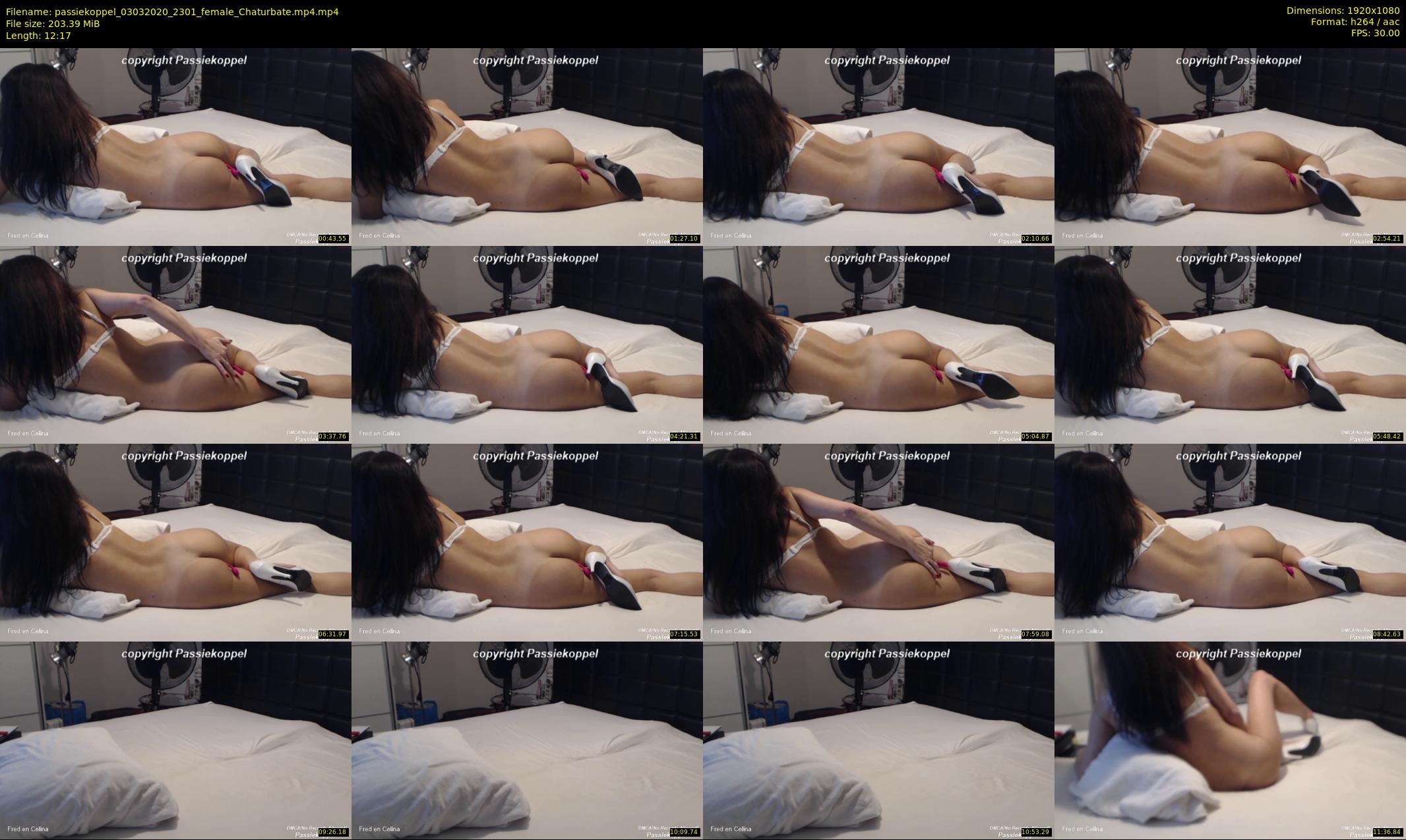 passiekoppel — 13 minute Chaturbate couple cam show recording, 1080p, Mar 3, 2020