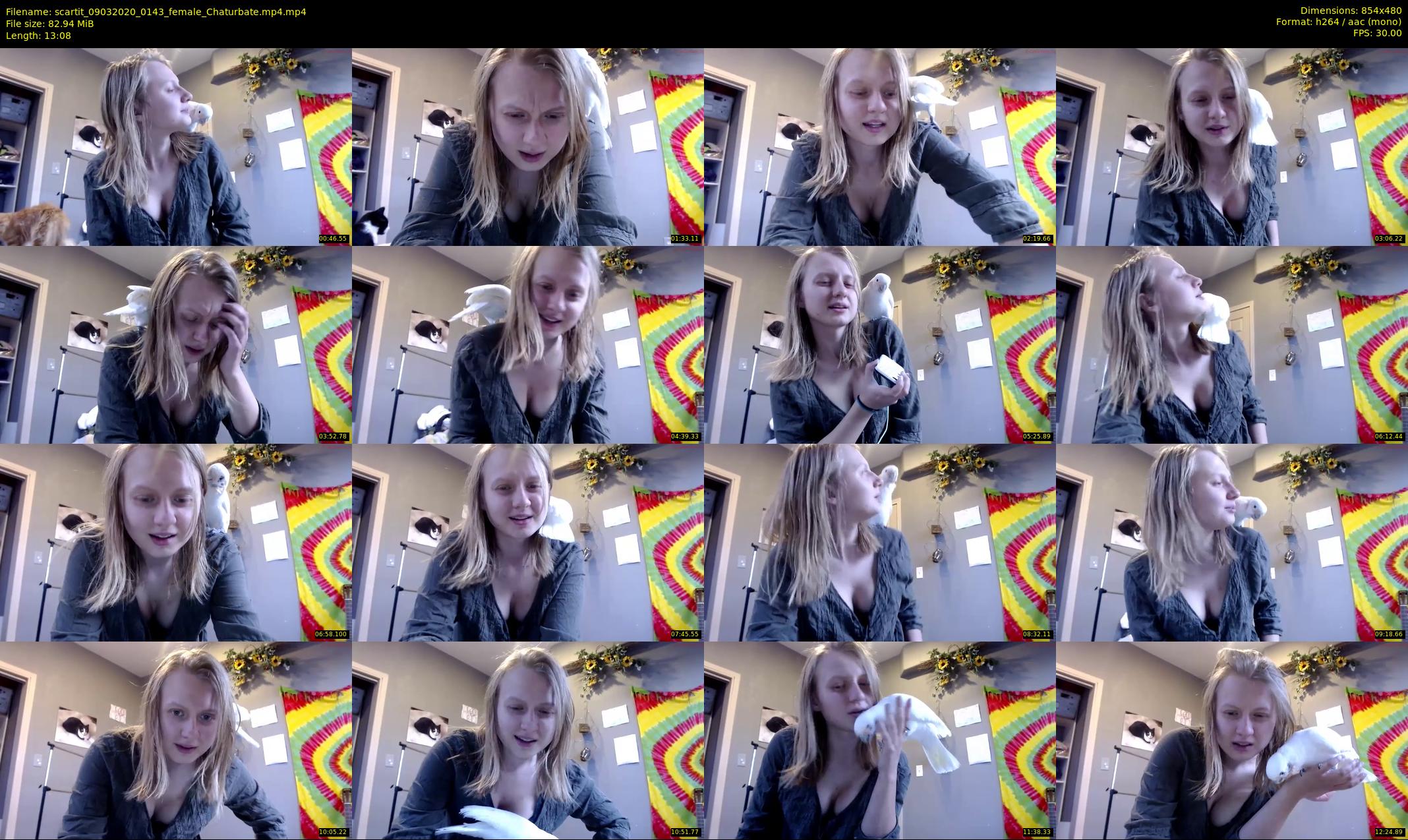 scartit — 14 minute Chaturbate female cam show recording, 480p, Mar 9, 2020