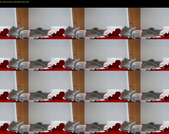 bigboobiebabex — 7 minute Chaturbate female cam show recording, 720p, Mar 9, 2020