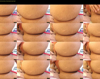_gabi_lovers — 24 minute Chaturbate female cam show recording, 720p, Mar 11, 2020