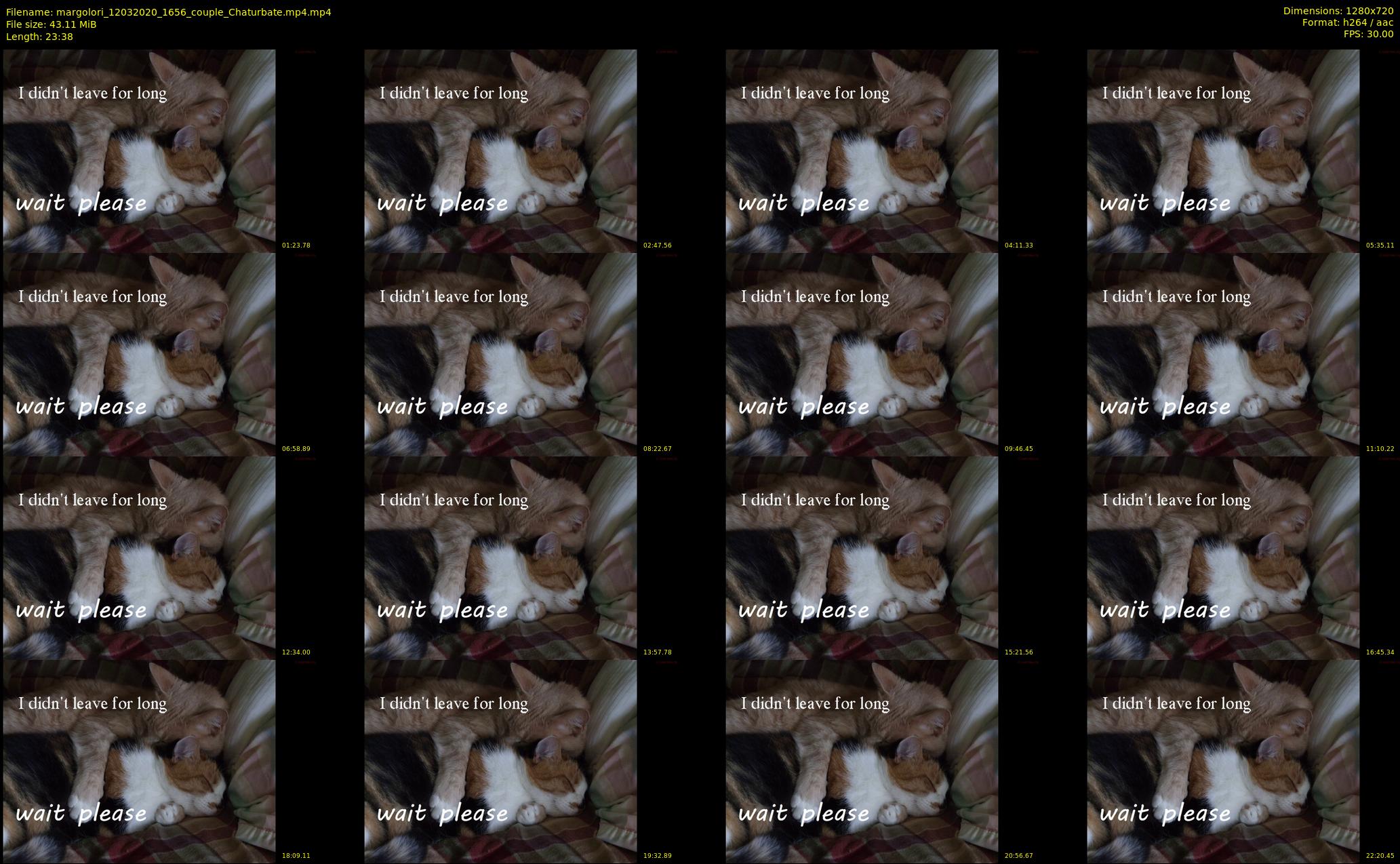margolori — 24 minute Chaturbate couple cam show recording, 720p, Mar 12, 2020