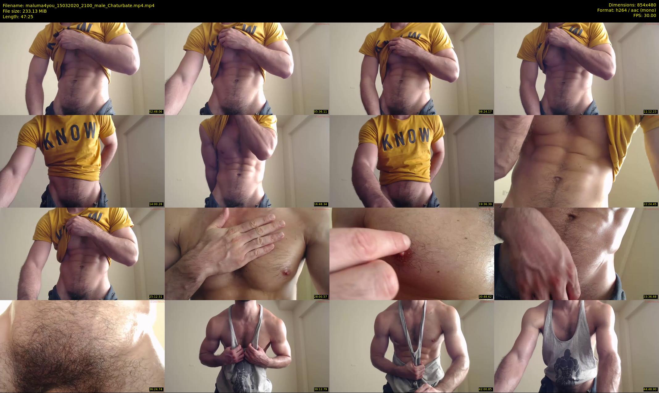 maluma4you — 48 minute Chaturbate male cam show recording, 480p, Mar 15, 2020