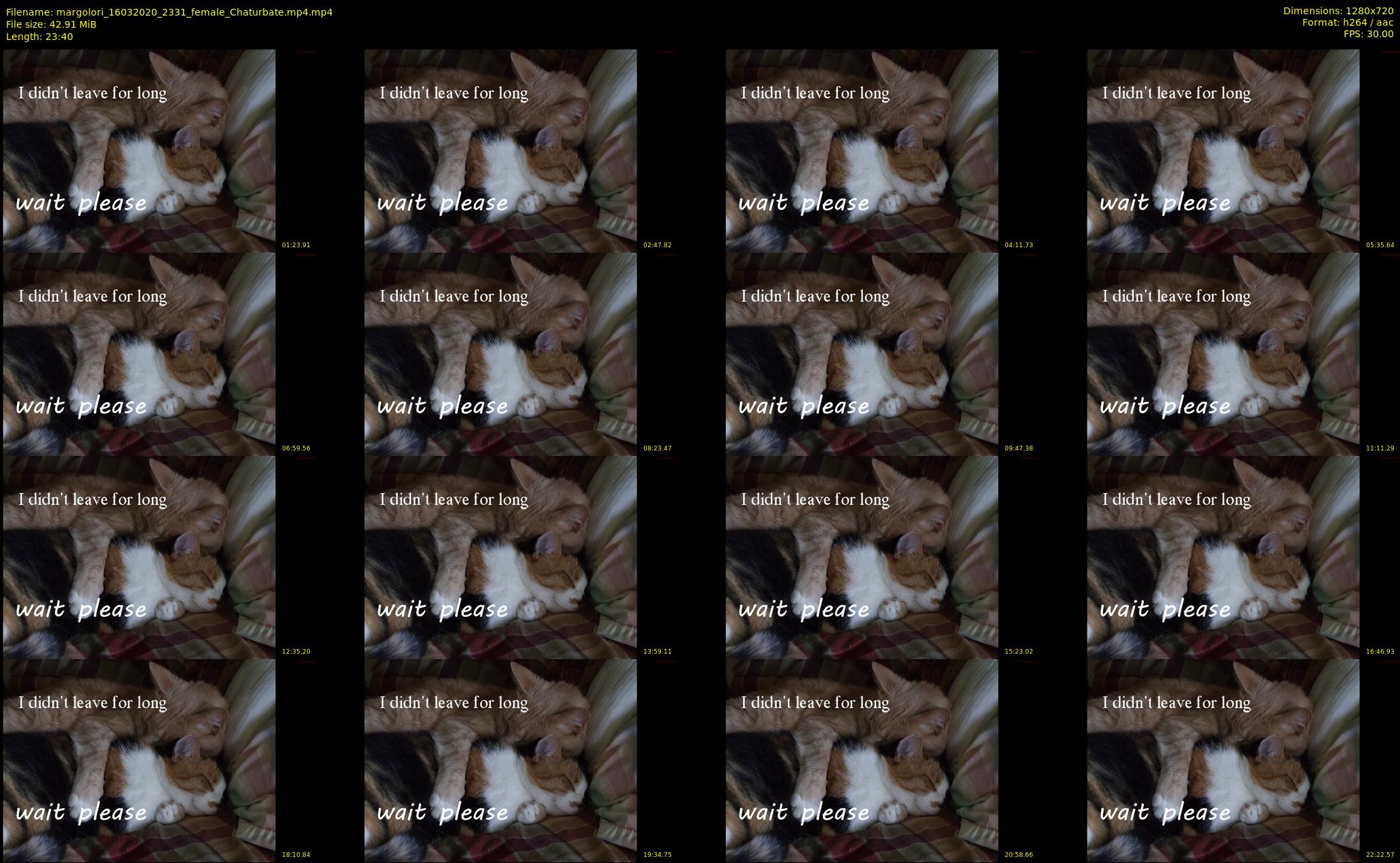 margolori — 24 minute Chaturbate couple cam show recording, 720p, Mar 16, 2020