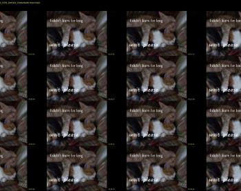 margolori — 24 minute Chaturbate couple cam show recording, 720p, Mar 16, 2020