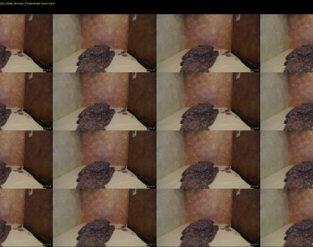 kelly_copperfield — 12 minute Chaturbate female cam show recording, 720p, Mar 21, 2020