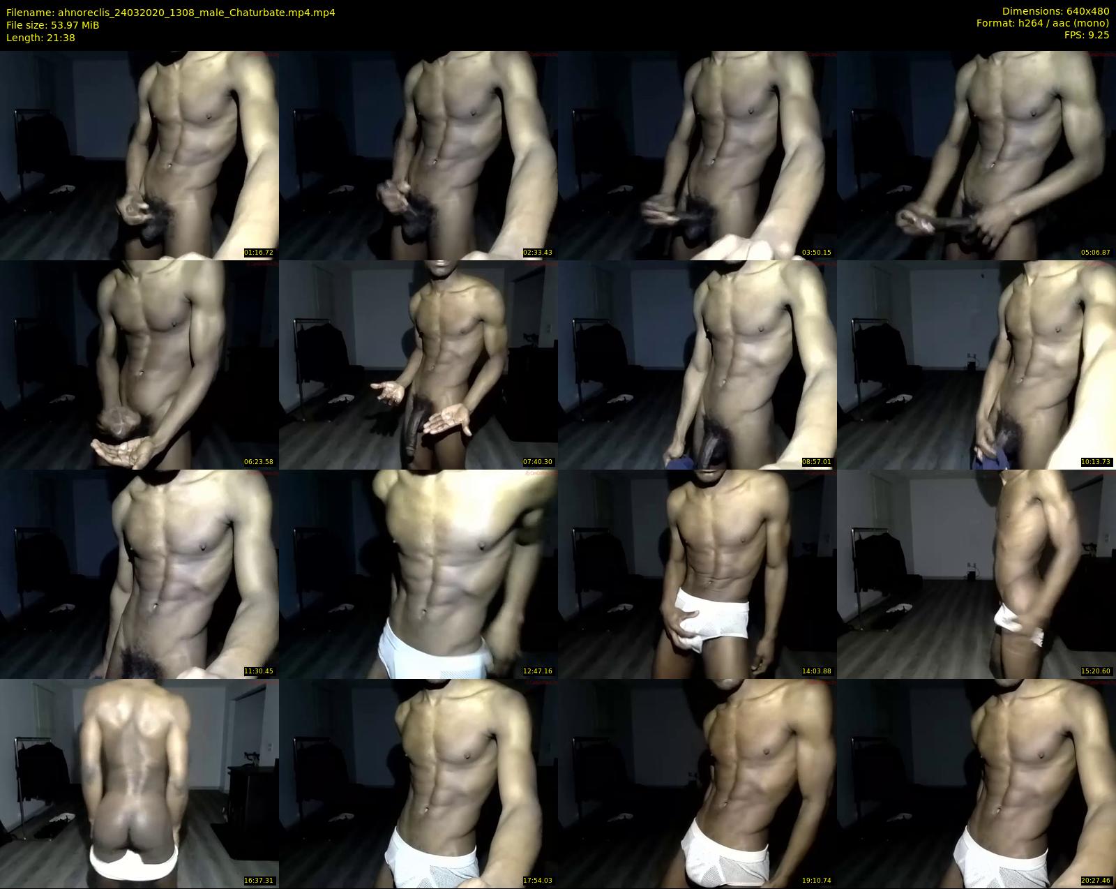 ahnoreclis — 22 minute Chaturbate male cam show recording, 480p, Mar 24, 2020