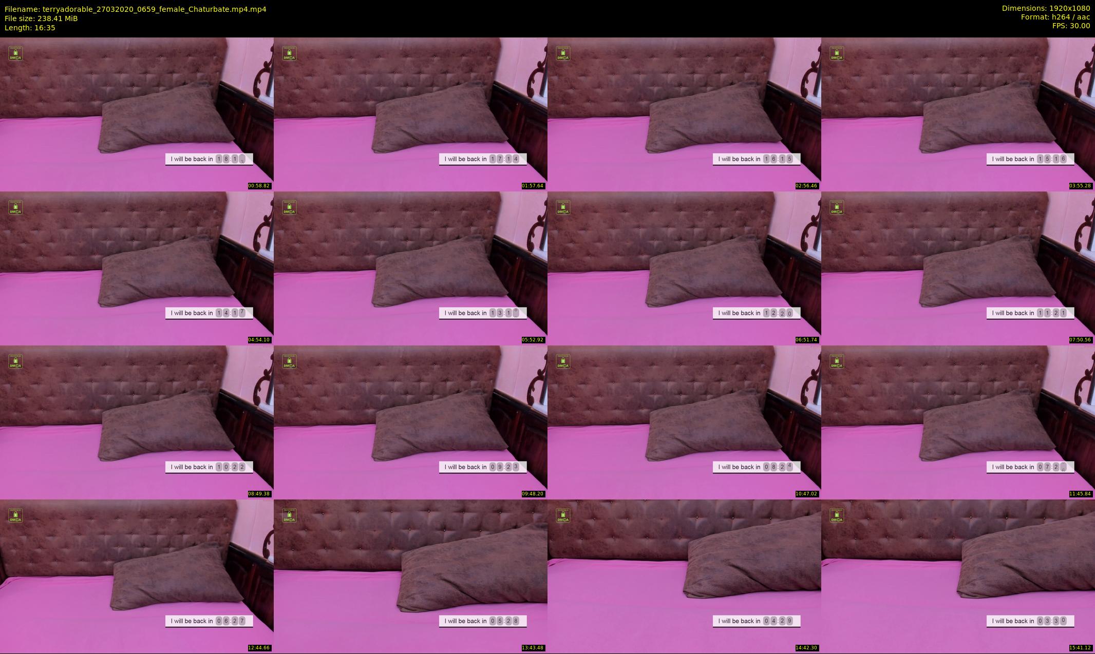 terryadorable — 17 minute Chaturbate female cam show recording, 1080p, Mar 27, 2020