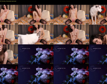 xobondaixo — 15 minute Chaturbate couple cam show recording, 1080p, Mar 28, 2020