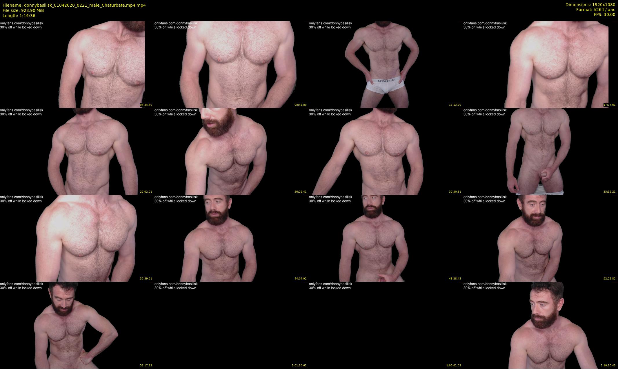 donnybasilisk — 75 minute Chaturbate male cam show recording, 1080p, Apr 1, 2020