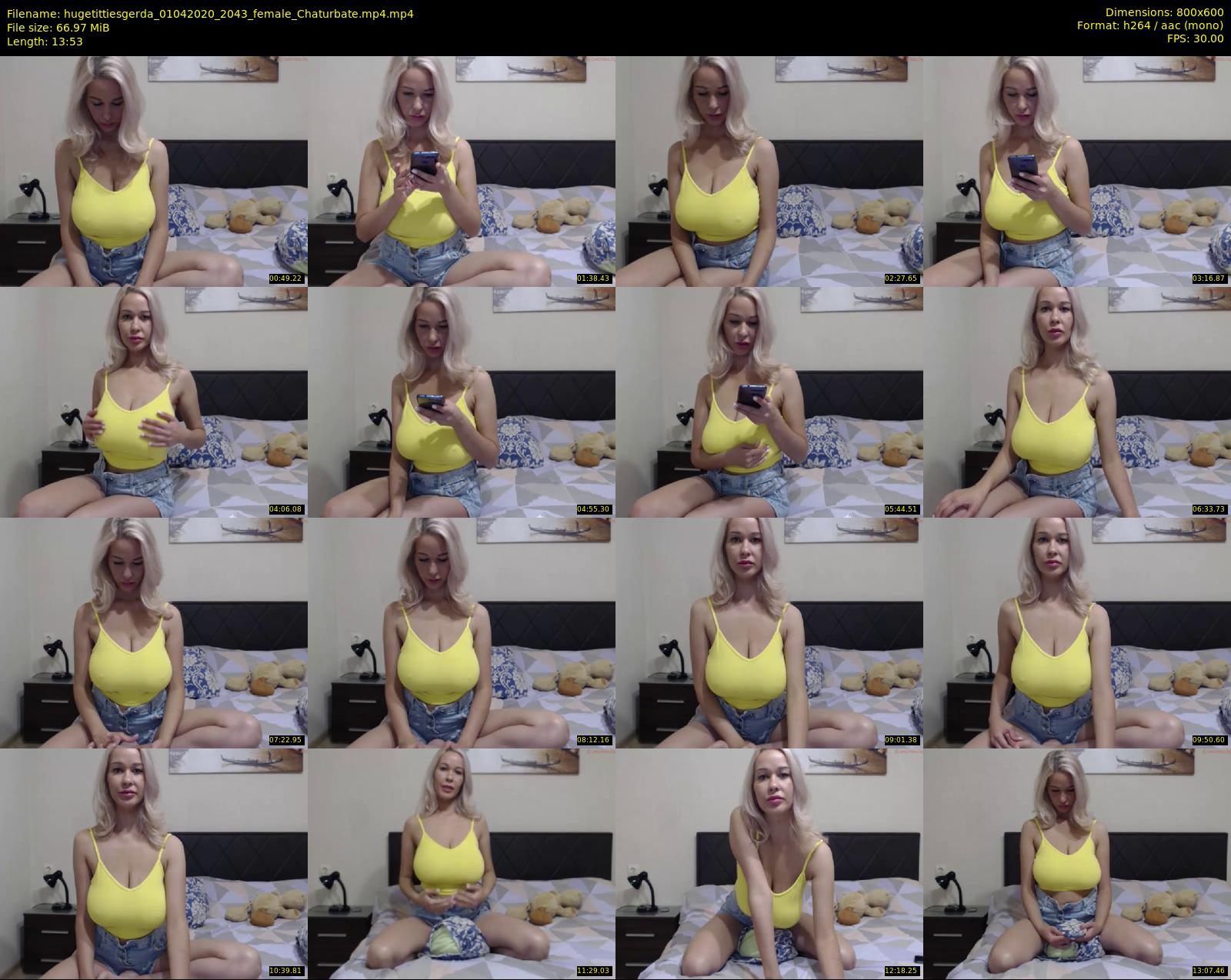 hugetittiesgerda — 14 minute Chaturbate female cam show recording, 480p, Apr 1, 2020