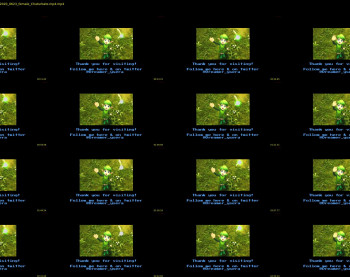 8bitdeviants — 4 minute Chaturbate female cam show recording, 720p, Apr 10, 2020