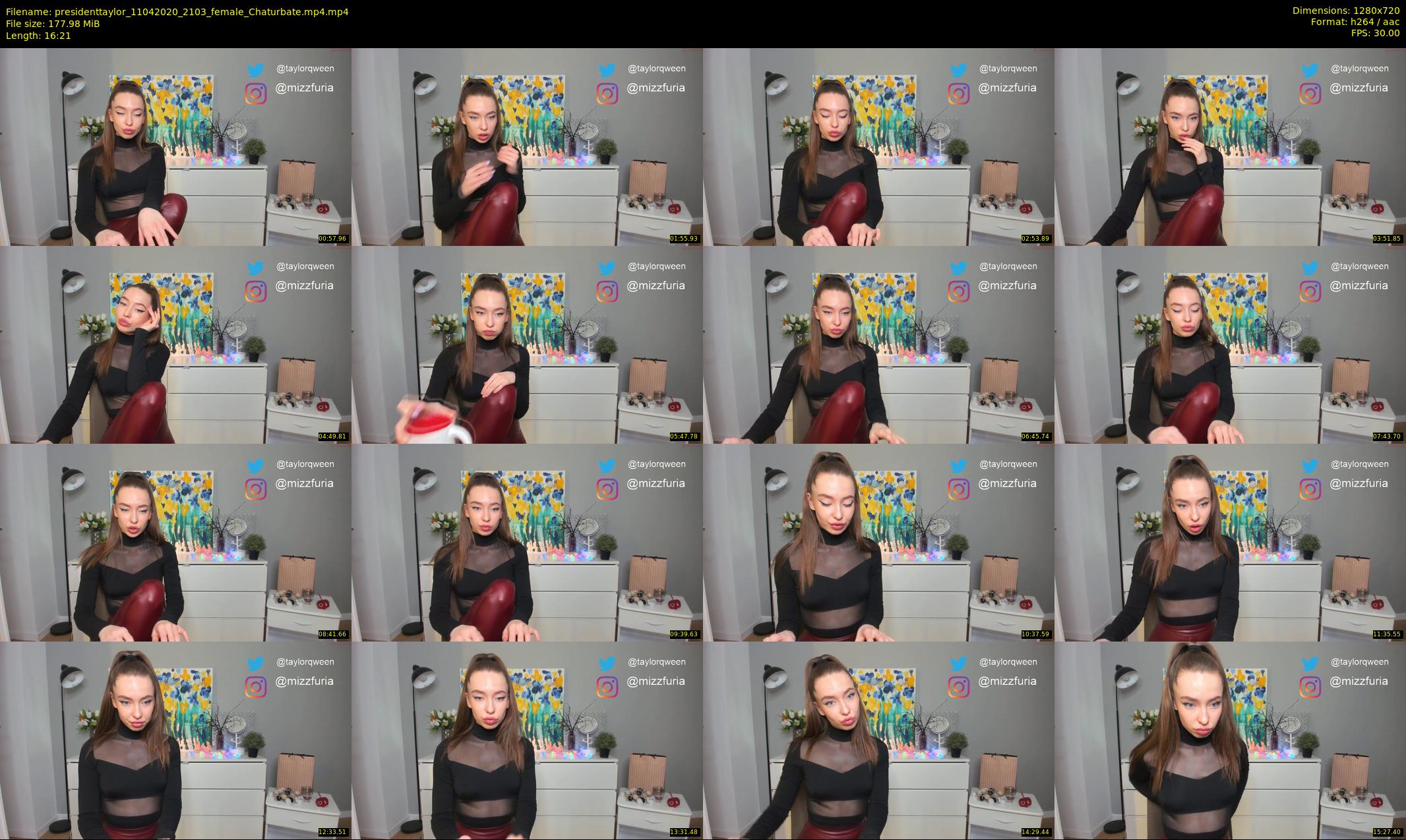 presidenttaylor — 17 minute Chaturbate female cam show recording, 720p, Apr 11, 2020