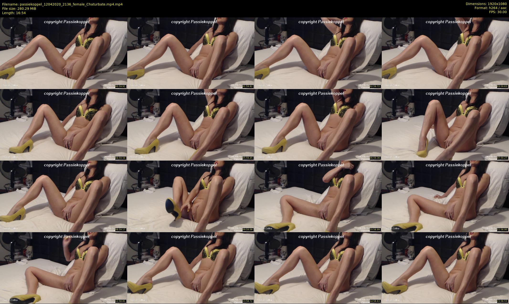 passiekoppel — 17 minute Chaturbate couple cam show recording, 1080p, Apr 12, 2020