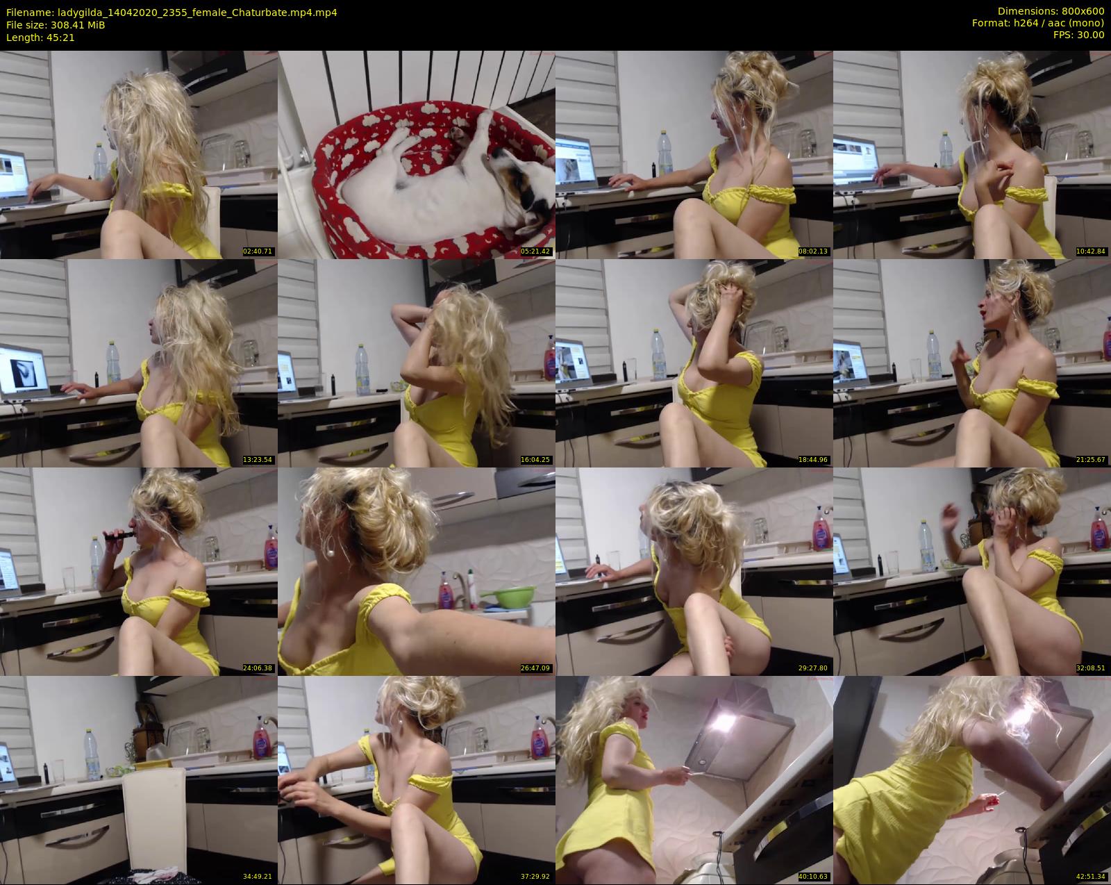 ladygilda — 46 minute Chaturbate female cam show recording, 480p, Apr 14, 2020