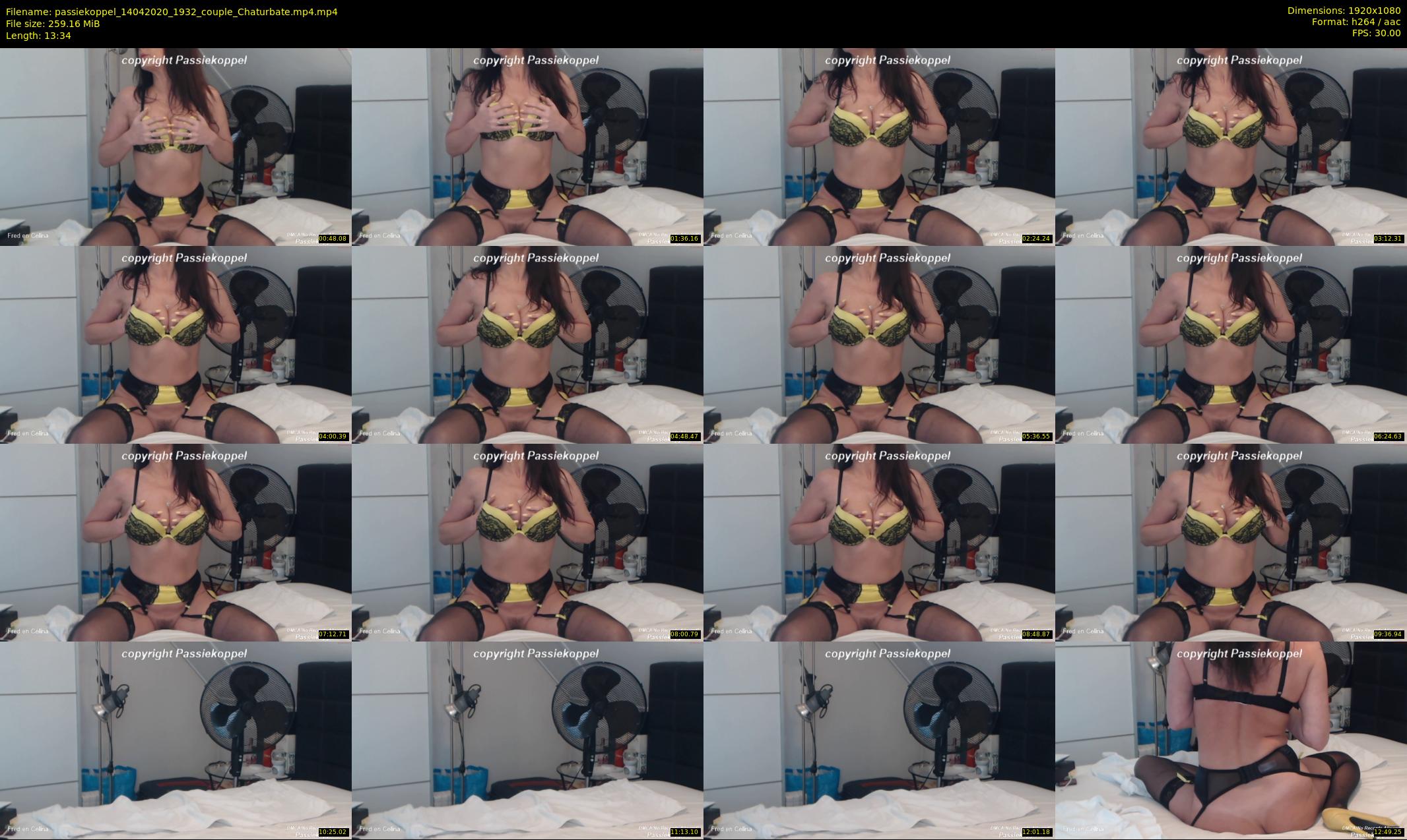 passiekoppel — 14 minute Chaturbate couple cam show recording, 1080p, Apr 14, 2020