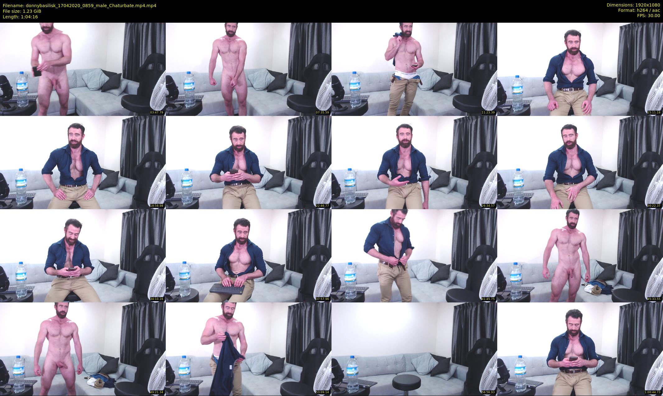 donnybasilisk — 65 minute Chaturbate male cam show recording, 1080p, Apr 17, 2020