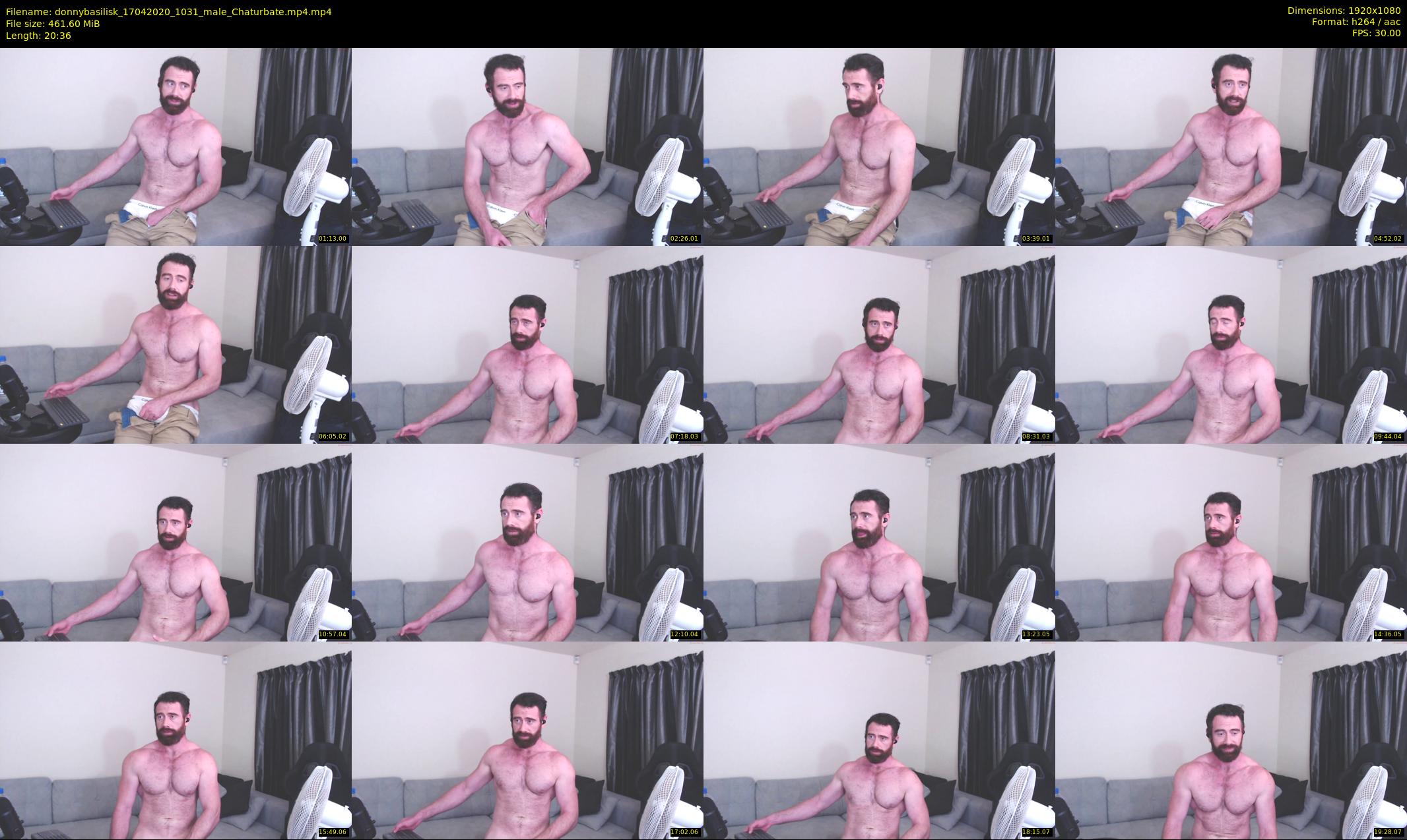 donnybasilisk — 21 minute Chaturbate male cam show recording, 1080p, Apr 17, 2020