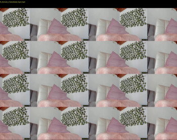 swt_molly — 78 minute Chaturbate female cam show recording, 1080p, Apr 18, 2020