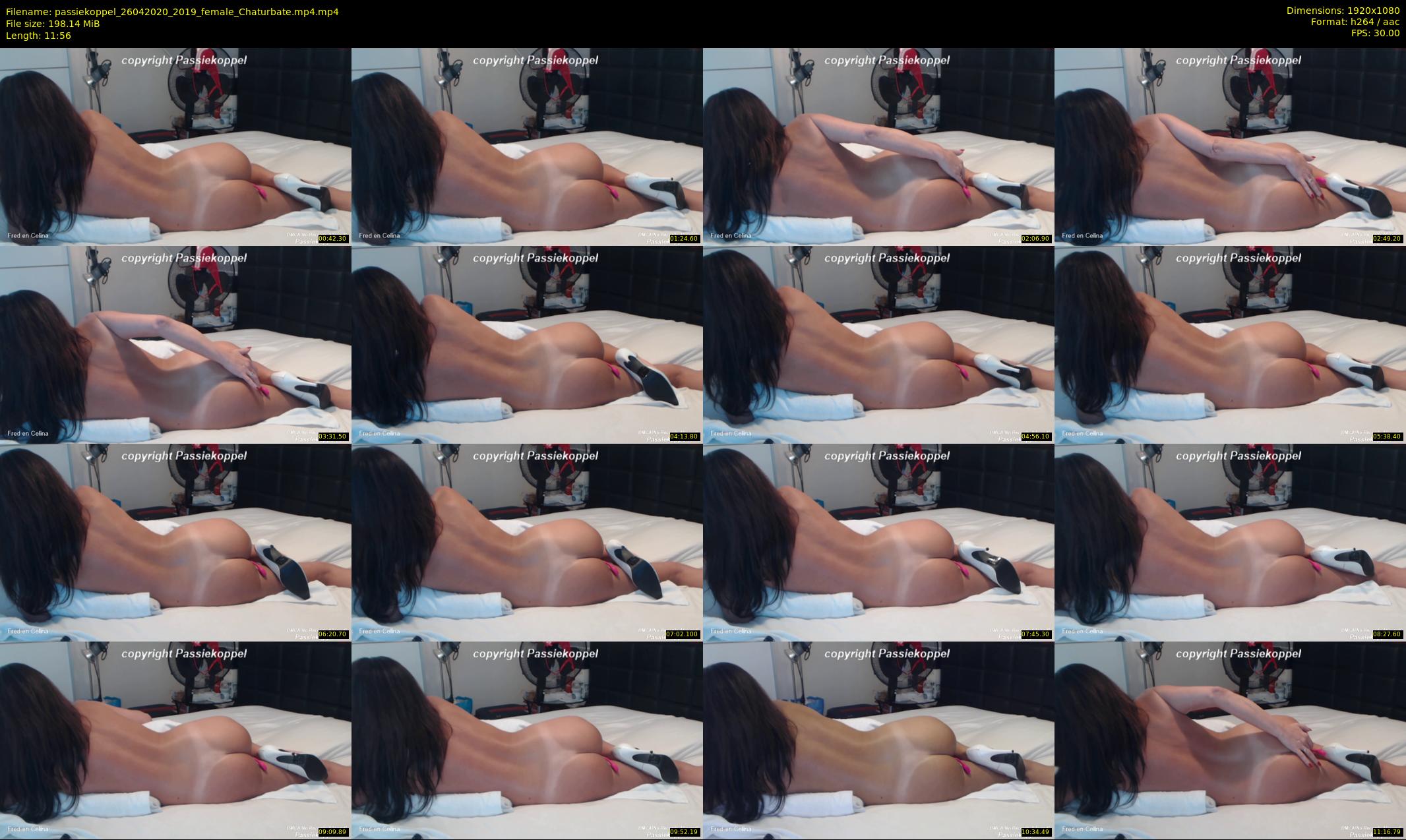 passiekoppel — 12 minute Chaturbate couple cam show recording, 1080p, Apr 26, 2020